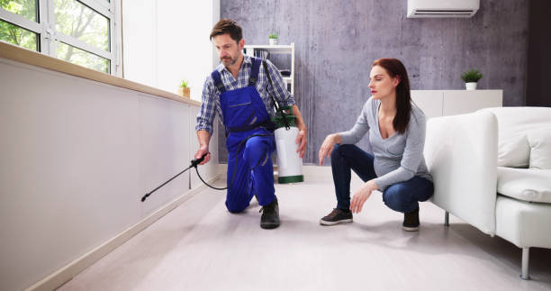 Indoor Pest Control in Westchase, FL